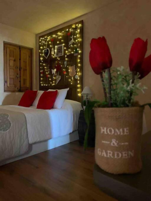 Luxury Danna Plaza Mayor Cuenca  Eksteriør bilde